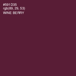 #591D35 - Wine Berry Color Image